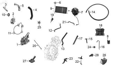 Diagrama Sistema refrigerante — Placa Soporte Inferior Radiador para moto Benelli 180S 2023-2026