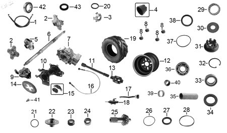 Diagrama Rueda Trasera Italika ATV250 2022