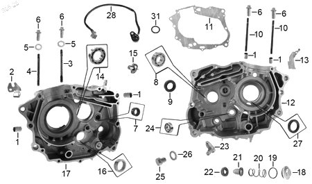 Diagrama Cárter Italika DM125 2018
