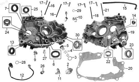 Diagrama Cárter Italika DM200 SPORT 2020