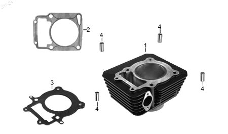 Diagrama Cilindro Italika DM300 2025