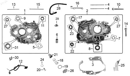 Diagrama Cárter Italika DM300 2025