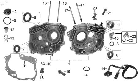 Diagrama Cárter Italika DT125 2016