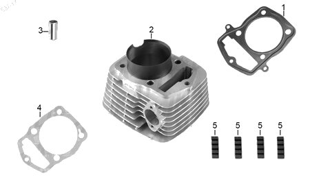 Diagrama Cilindro Italika FIERA 250 2019