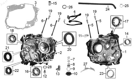 Diagrama Cárter Italika FT150G NEGRA 2018