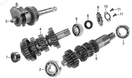 Diagrama Transmisión Italika TC250 2015