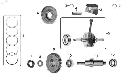 Diagrama Cigüeñal Italika TC250 2015