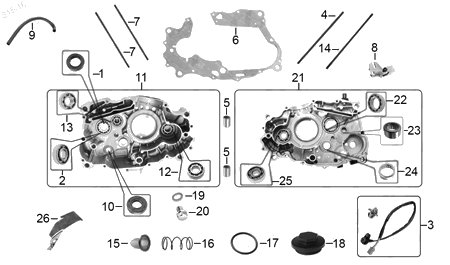 Diagrama Cárter Italika DM150 2023