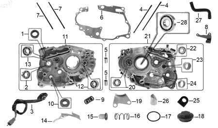 Diagrama Cárter Italika RT250 SPORT 2020