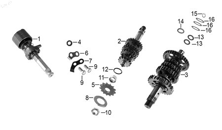 Diagrama Transmisión para moto Benelli TNT 15 2023 — refacciones compatibles