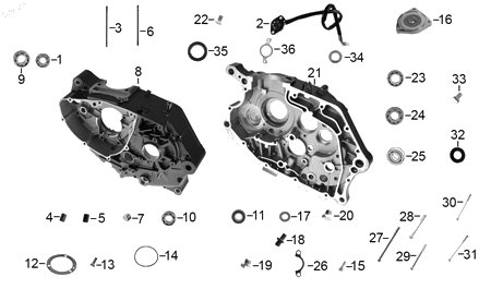 Diagrama Carter — Balero Radial Bolas 6002-RS/P6 para moto Benelli TNT 15 2023