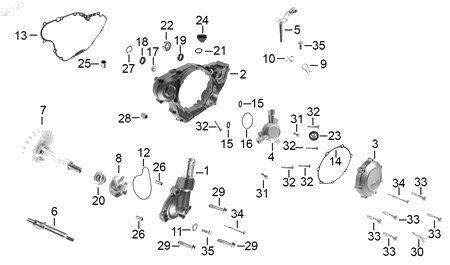 Diagrama Cubierta derecha carter — Seguro Omega para moto Benelli TNT 25N 2023-2026