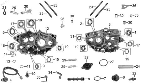 Diagrama Cárter Italika VX250 2022