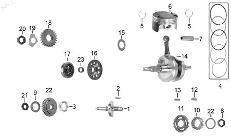 Diagrama Cigüeñal Italika VX250 2022