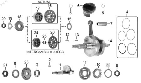 Diagrama Cigüeñal Italika VX250 EFI 2020