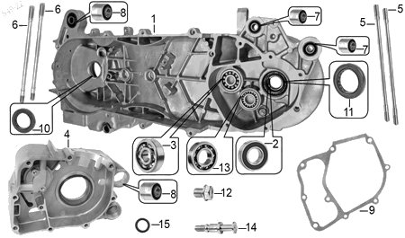 Diagrama Cárter Italika W150 2024