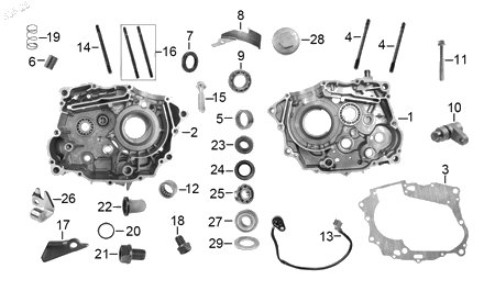 Diagrama Cárter para moto Italika DM150 GPS 2027 — refacciones compatibles