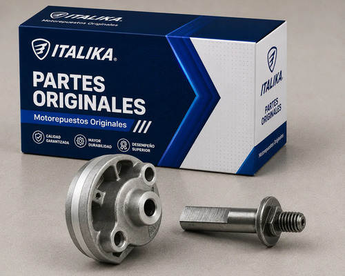 Bomba De Aceite para moto Italika FT250 TS FT200 TS DT200 SPORT 2015-2027 — refacción original E09010031